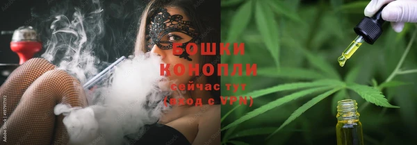 бошки Новозыбков