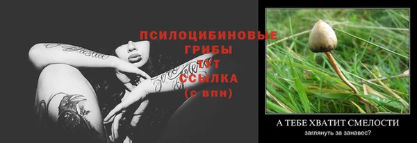 тгк Няндома