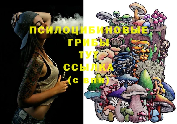 бошки Новозыбков