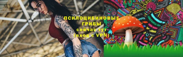 a pvp Новокубанск